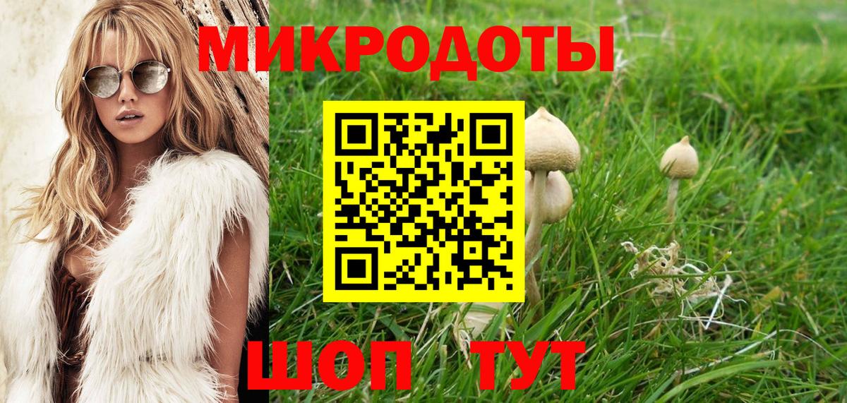 Псилоцибиновые грибы ЛСД  Вход с VPN  Узловая  Псилоцибиновые грибы мухоморы 