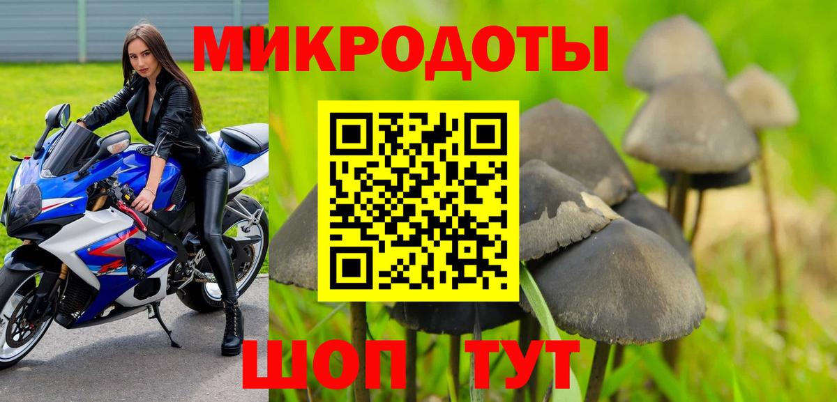Псилоцибиновые грибы мицелий Узловая